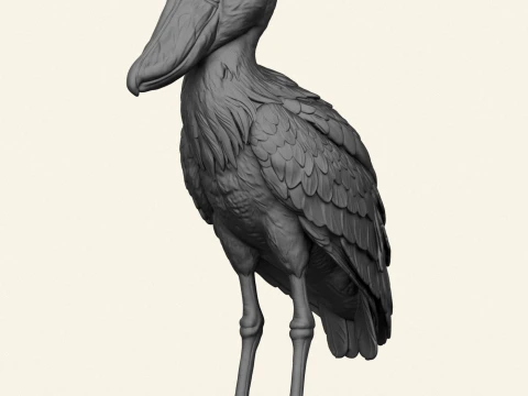 Shoebill Bird 3D Print Model