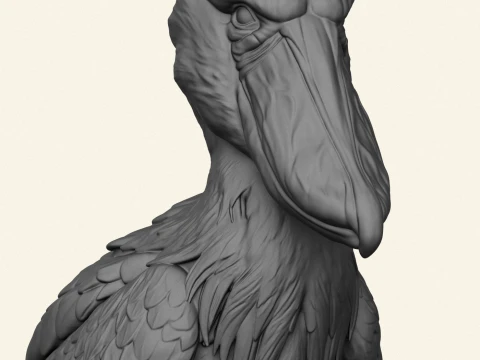 Shoebill Bird 3D Print Model