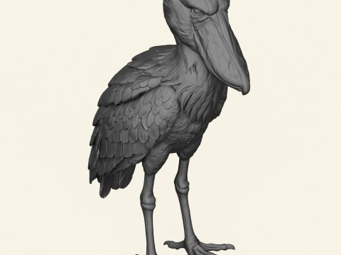 Shoebill Bird 3D Print Model