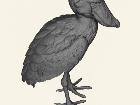 Shoebill Bird 3D Print Model