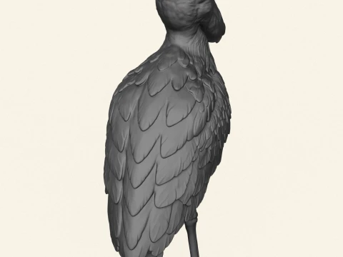 Shoebill Bird 3D Print Model