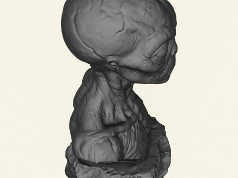 Creature Alien Bust 3D Print Model