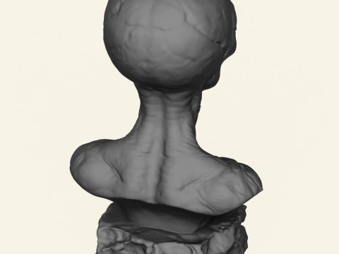 Creature Alien Bust 3D Print Model