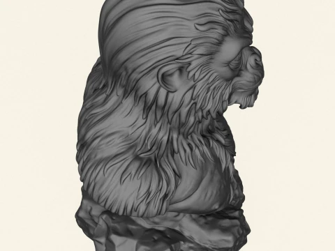 Chewbacca Ape Character Bust 3D Print Model