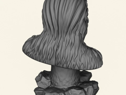 Chewbacca Ape Character Bust 3D Print Model