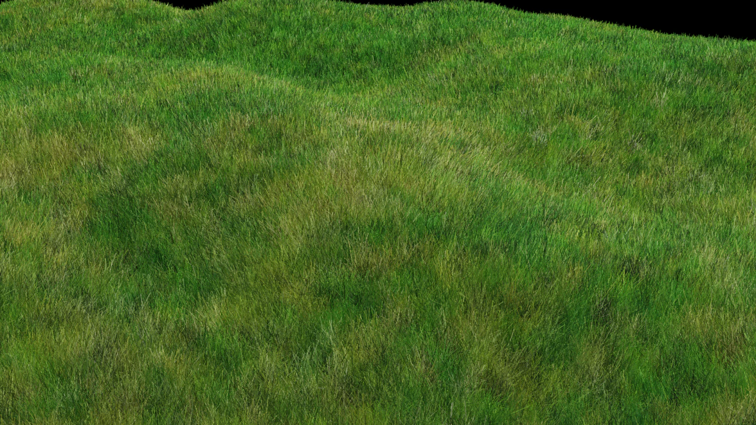 grass field CG Textures .c4d .max .obj .3ds .fbx .stl .blend