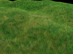 grass field CG Textures