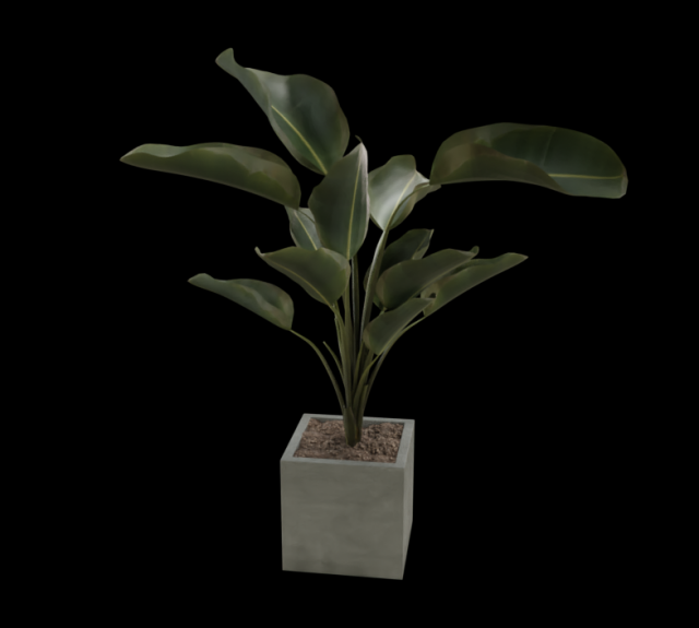 a flower in a pot CG Текстури .c4d .max .obj .3ds .fbx .stl .blend