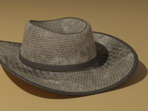 Leather hat Modelo 3D