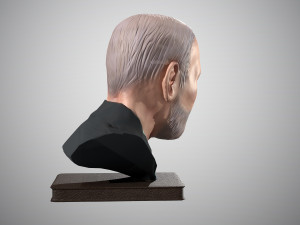 bust of sigmund freud low-poly Model 3D