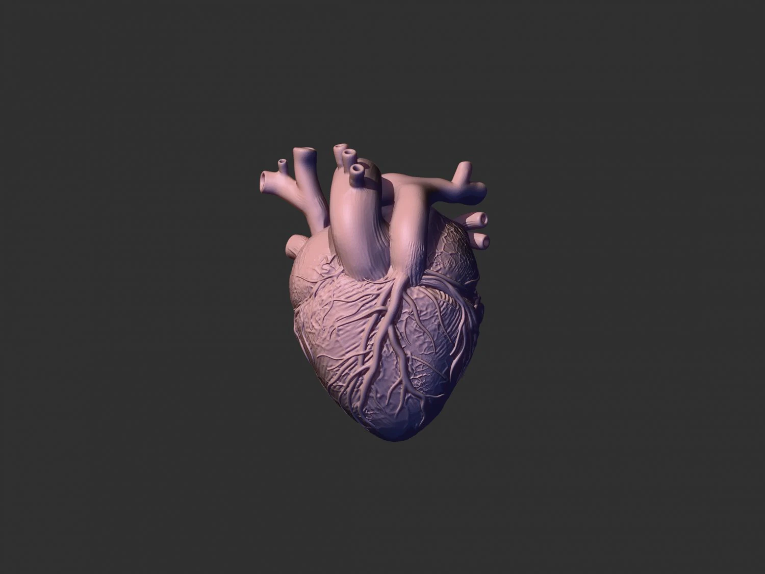 готовое к печати сердце 3D Принт Модель .c4d .max .obj .3ds .fbx .stl .blend 