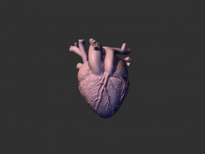 printready heart 3D Print Model