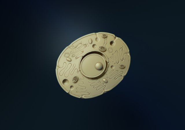 animal cell model 3d print model 3D Print Model .c4d .max .obj .3ds .fbx .stl .blend 