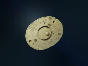 modello di cellula animale modello di stampa 3d Modello di stampa 3D
