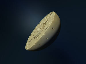 animal cell model 3d print model 3D Print Model