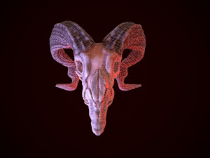 gameready goat skull low-poly Modelo 3D