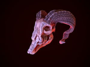 gameready goat skull low-poly Modelo 3D