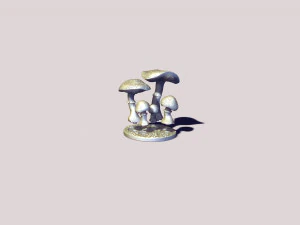 Printready mushroom amanita 3d print model 3D Print Model
