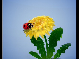 Printready ladybug and flower 3d print model 3D Print Model