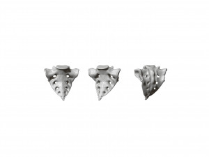 spine printable 3D 打印模型