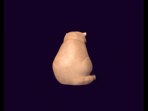 Wild cat manul toy 3D मॉडल