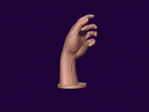 Hand mannequin for 3d printing 3D Print Model