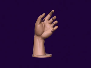 Hand mannequin for 3d printing 3D Print Model