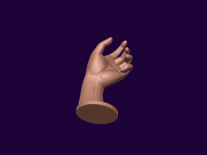 Hand mannequin for 3d printing 3D Print Model