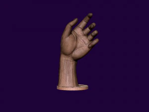Hand mannequin for 3d printing 3D Print Model