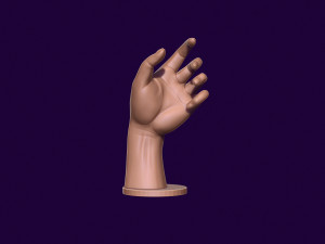 Hand mannequin for 3d printing 3D Print Model