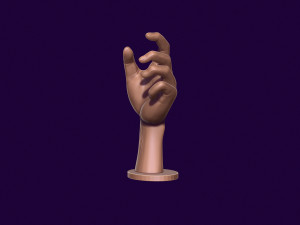 Hand mannequin for 3d printing 3D Print Model