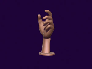 Hand mannequin for 3d printing 3D Print Model