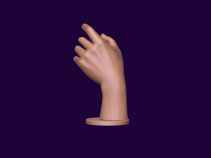 Hand mannequin for 3d printing 3D Print Model
