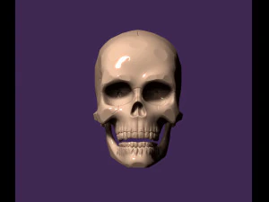 cr&aacute;neo humano Modelo de impresión 3D