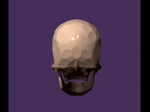 Human skull 3D-printmodel