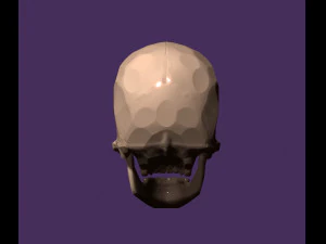 Human skull 3D Print Model