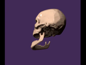 Human skull 3D Print Model