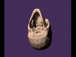 Human skull 3D-printmodel