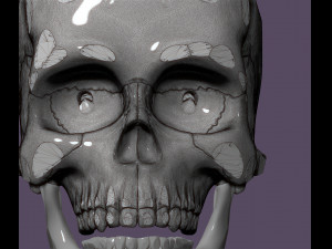 Human skull 3D-printmodel
