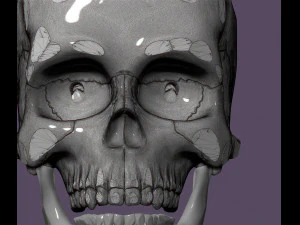 Human skull 3D Print Model