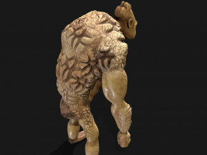 Rocky man 3D Model