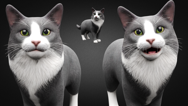american cat 3D Model .c4d .max .obj .3ds .fbx .lwo .lw .lws