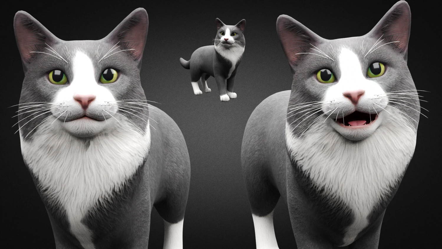 american cat 3D Model .c4d .max .obj .3ds .fbx .stl .blend 