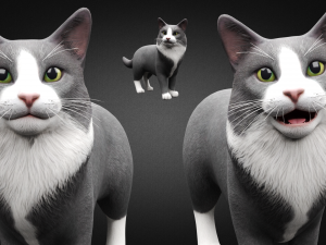 american cat 3D Model
