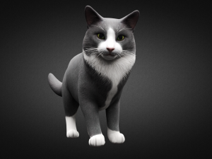 american cat Modelo 3D
