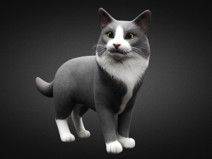 american cat Modelo 3D