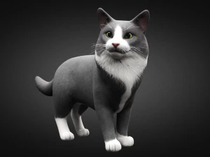 american cat 3D Model