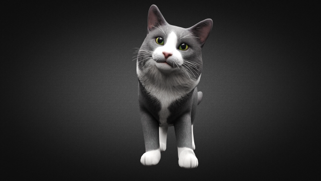 Download american cat 3D Model