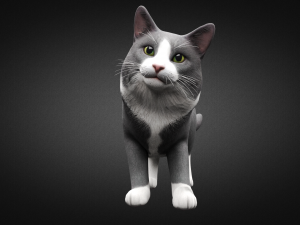 american cat Modelo 3D