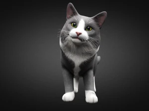 american cat 3D Model